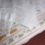 IMG_4177 IMG_4177