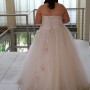 IMG_0987 IMG_0987
