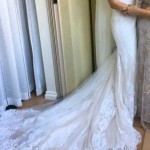 IMG_20220217_062937 IMG_20220217_062937