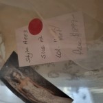 20220422_204350 20220422_204350