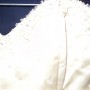 DSC00519 DSC00519