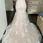 20221024_172401 20221024_172401