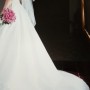 IMG_20221022_170650 IMG_20221022_170650