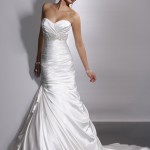 Professional Adorae 1 Professional Adorae 1