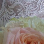 20221113_084512 20221113_084512