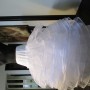 IMG_3905 IMG_3905