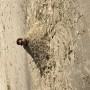 IMG_0065 IMG_0065