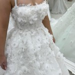 IMG_20240923_085355_648 IMG_20240923_085355_648