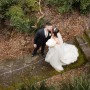 IMG_3350 IMG_3350