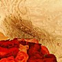 DSC05843 DSC05843