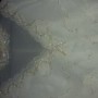 20160210_085944 20160210_085944