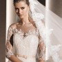ROSINE_D (1)