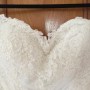 IMG_4649 IMG_4649