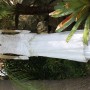 IMG_3207 IMG_3207