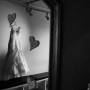 CGD_0028 CGD_0028
