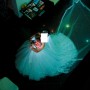 IMG_5929 IMG_5929