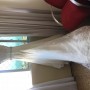 IMG_7680 IMG_7680