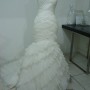 DSC00463 DSC00463