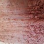 20190331_150024 20190331_150024