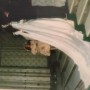 IMG_0978 IMG_0978