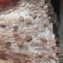 IMG_1184[1]