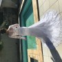 IMG_4584 IMG_4584