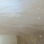 20211212_070840 20211212_070840