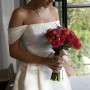 IMG_8979 IMG_8979