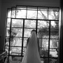 IMG_9103 IMG_9103