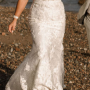 IMG_3910 IMG_3910