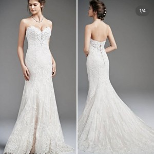 dress1 dress1