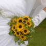 MR_1178 MR_1178