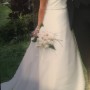 IMG_3417 IMG_3417