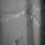 IMG_9029 IMG_9029