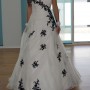 IMG_9685 IMG_9685