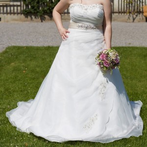 IMG_3223 IMG_3223