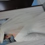 DSC02350 DSC02350