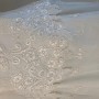 IMG_6529