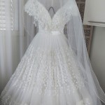 SPOSA X