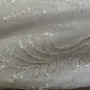 IMG_1970 IMG_1970