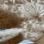 IMG_3263 IMG_3263