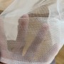 IMG_3266 IMG_3266
