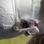 Sylvie_230 Sylvie_230