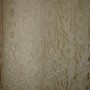 DSC00365 DSC00365