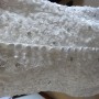 DSC05501