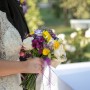 IMG_5795