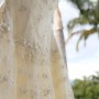 IMG_8937 IMG_8937