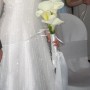 pronovias-wedding-dress-5529865-2-0 pronovias-wedding-dress-5529865-2-0