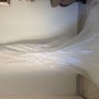 IMG_4691 IMG_4691