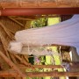 DSC_5120 DSC_5120